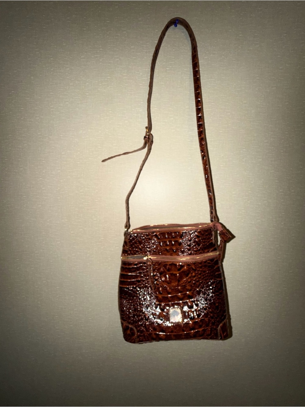 Snakeskin Bag